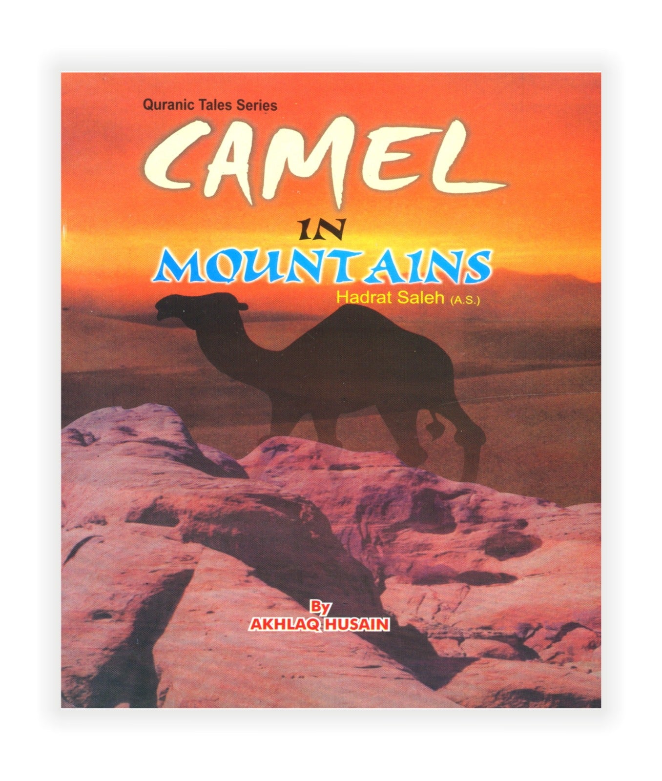 Camel in Mountains